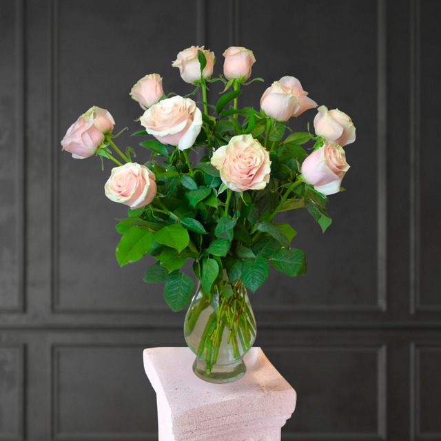 Long Stem Pink Roses