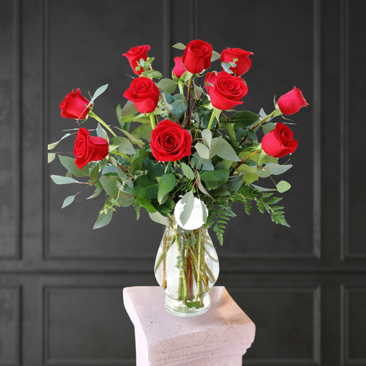 Premium Red Roses